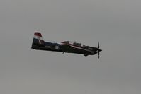 ZF295 photo, click to enlarge ZF295 photo, click to enlarge