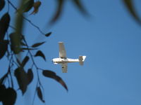 N21051 @ OAK - N21051 Cessna C172 Skyhawk - by Andy Renteria