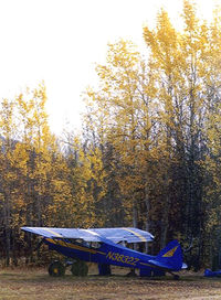 N3832Z @ EAA - Airstrip @ Eagle Alaska - by Dan Stroeing