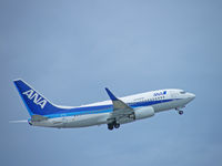 JA03AN @ ROAH - Boeing 737-781/ANA/Naha - by Ian Woodcock