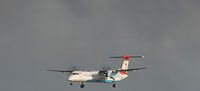 OE-LGI photo, click to enlarge OE-LGI photo, click to enlarge