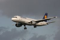 D-AIPS photo, click to enlarge D-AIPS photo, click to enlarge