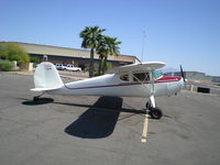 N140EW @ FFZ - Cessna 140 - by S. Krieger