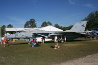 159619 @ LAL - F-14 - by Florida Metal