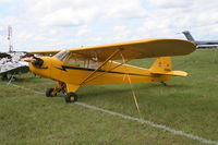 N26950 @ LAL - Piper J3 Cub