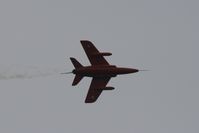 G-TIMM photo, click to enlarge G-TIMM photo, click to enlarge
