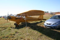 N70539 @ LAL - Piper J3 Cub