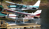 N1046V @ AK19 - Cessna Stationair at Fish Lake , Talkeetna AK - by Terry Fletcher