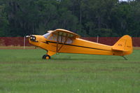 N13JX @ LAL - American Legend AL3 Cub