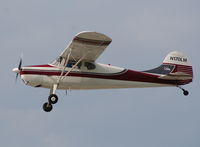 N170LM @ LAL - Cessna 170 - by Florida Metal