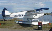 N2556M @ LHD - 1946 Piper Pa-12 at Lake Hood - by Terry Fletcher