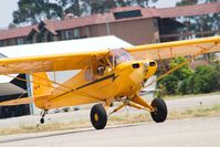 N11S @ LPC - Taken at Piper Cub Fly-in Lompoc Calif 2008 - by Mike Madrid