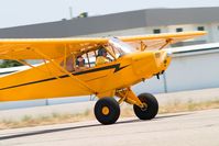 N11S @ LPC - Taken at Piper Cub Fly-in Lompoc Calif 2008 - by Mike Madrid