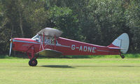 G-ADNE - 1936 Hornet Moth - a visitor to Baxterley Wings and Wheels 2008 , a grass strip in rural Warwickshire in the UK - by Terry Fletcher