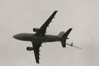 EC-HLA photo, click to enlarge EC-HLA photo, click to enlarge