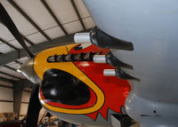 N1195N @ S67 - Parrot head P40 on display at Warhawk Air Museum. - by Bluedharma