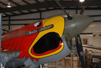 N1195N @ S67 - Parrot head P40 on display at Warhawk Air Museum. - by Bluedharma