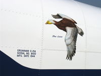 N600ZE photo, click to enlarge