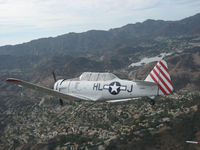 N3169G - Formation flight with Daring Diane for Veteran's Day. - by FieryNature