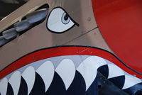 N94466 @ S67 - Flying Tiger Nose art detail. On display at the Warhawk Air Museum. - by Bluedharma
