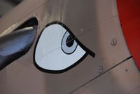 N94466 @ S67 - Flying Tiger Nose art eye detail. On display at the Warhawk Air Museum. - by Bluedharma