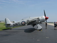 N71GB @ OSH - 1949 Hawker SEA FURY TMK 20, Wright R-3350-42 for original Bristol Centaurus radial of 2,480 Hp, 'Southern Cross' - by Doug Robertson