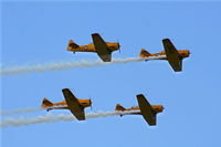 C-FHWX @ YIP - Formation of Canadian Harvards - by Florida Metal