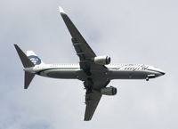 N546AS @ MCO - Alaska Air 737-800 arriving from SEA - by Florida Metal