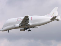 F-GSTF photo, click to enlarge F-GSTF photo, click to enlarge