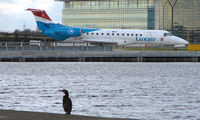 LX-LGL @ EGLC - A lone cormorant watches the Luxair Emb 135 taxi for departure from London City - by Terry Fletcher