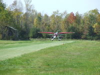 N21117 - Landing at his home field. - by Terry L. Swann