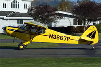 N3667P @ S43 - /