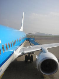 PH-BXK @ EHAM - KLM B737 at the gate, Schiphol - by Henk Geerlings