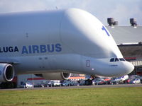 F-GSTA @ EGNR - close up of the Beluga, this shot shows how BIG this aircraft is when you look at the pilots in the cockpit - by chris hall