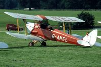G-ANEL - Moth Rally 1992, Woburn Abbey, Bedfordshire, England
