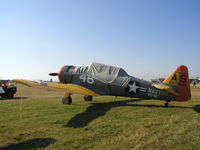 N417AS photo, click to enlarge