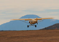 N9078D @ KAPA - Piper Cub on final approach to 17L.