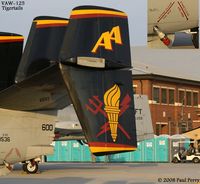 163536 @ LFI - Some artistic details from VAW-125, the Tigertails - by Paul Perry