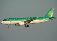 EI-DEA photo, click to enlarge EI-DEA photo, click to enlarge