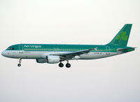 EI-CVB photo, click to enlarge EI-CVB photo, click to enlarge