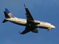 N16650 @ MCO - Continental 737-500 - by Florida Metal