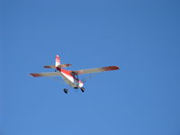 N50380 @ SZP - 1979 Bellanca 7ECA CITABRIA, Lycoming O-235 115 Hp, takeoff climb Rwy 04 - by Doug Robertson