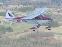 N4603Z @ PAE - Piper Colt - by S. Paulay