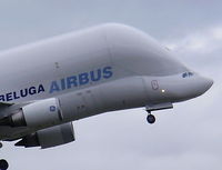 F-GSTC photo, click to enlarge F-GSTC photo, click to enlarge