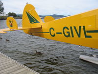 C-GIVL - Lac Temiscouata - canards