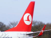 TC-JGR @ EGCC - Turkish Airlines - by chris hall