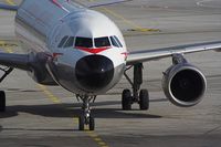 OE-LBP photo, click to enlarge