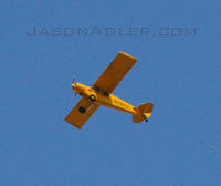 N3917Z - This aircraft was flying a banner during Gasparilla 2009. - by Jasonbadler