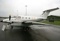 81 photo, click to enlarge