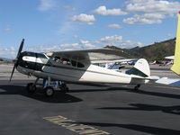 N195P @ SZP - 1948 Cessna 190 Businessliner, Jacobs L4/R755-7 245 Hp radial - by Doug Robertson